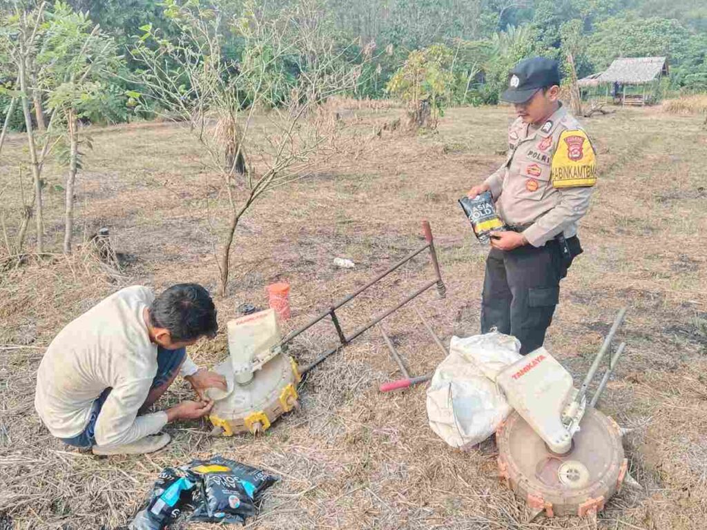 Perkuat Swasembada Pangan, Gapoktan Sinar Tani 1 Bersama Polsek Cikeusik Tanam Jagung Hibrida 5 Hektar 6 WhatsApp Image 2026 06 24 at 17.37.57 11zon