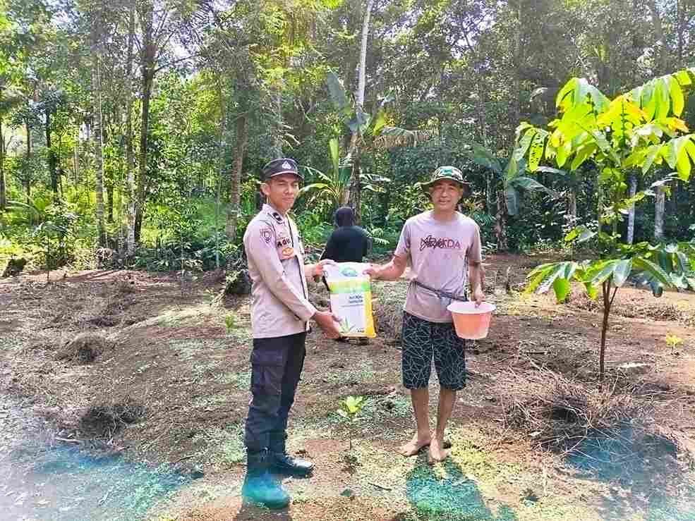 Wujud Sinergitas Polri dan Masyarakat, Polsek Cimanggu Gelar Penanaman Jagung di Kp. Neglasari 3 WhatsApp Image 2026 06 28 at 11.34.53 11zon